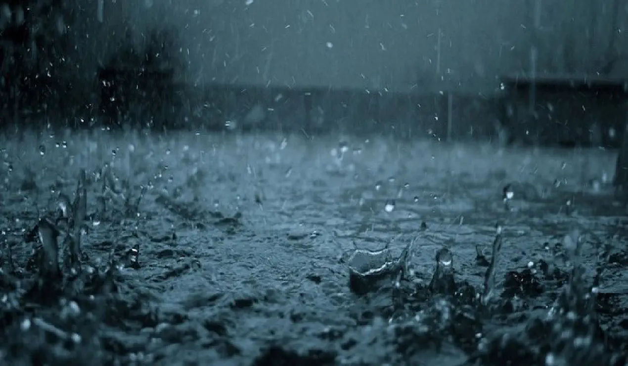 March 2020 Newsletter